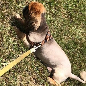 Meet your Posher, Cloe